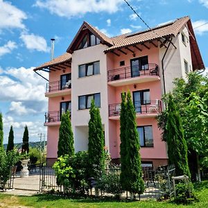 Hotel Pensiunea Emma à Sîmbăta de Sus Exterior photo