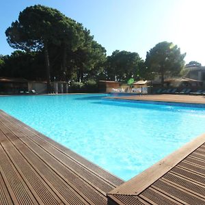 Studio Grande Piscine Dans Residence Hoteliere, Proche Plage Lecci Exterior photo