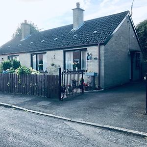 Ponderosea Cottage Free Gated Parking M1 & City Location, Wood Stove Lisburn Exterior photo