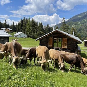 Villa Mountain Cabin Got Spess Lenzerheide à Vaz-Obervaz Exterior photo