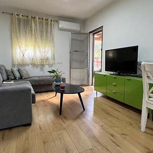 Appartement A Beautiful Bright Unit With A Large Front Yard. à Ilut Exterior photo