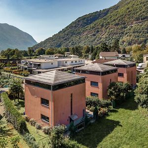 Appartement Splendido Attico Per Chi Ama Escursioni Nella Natura à Grono Exterior photo