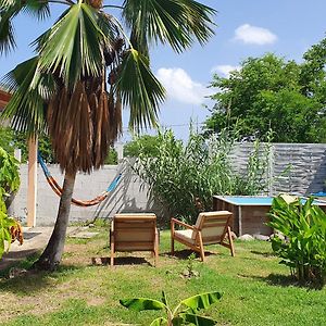 Villa Les Ti Kaz a Papé choisissez avec ou sans piscine à Deshaies Exterior photo