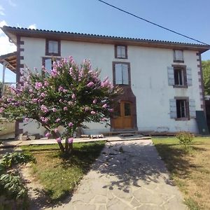 Maison D'Hotes Larraldia Uhart-Cize Exterior photo