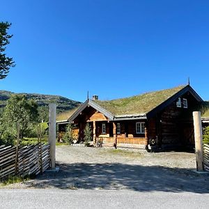 Villa Solsetra - Mountain Majesty Family Log Cabin à Hovden  Exterior photo