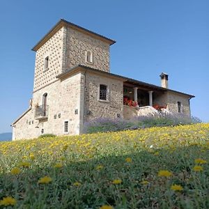 Villa Agriturismo Torre Gialluise à Gesualdo Exterior photo