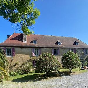 Hotel Maison D'Hotes-Maison Castaings à Lucq-de-Béarn Exterior photo