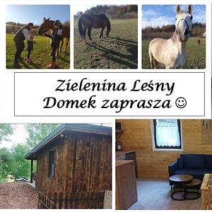 Villa Zielenina Lesny Domek à Mierzeszyn Exterior photo