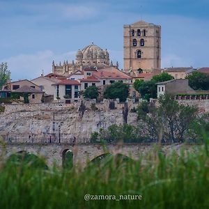 Appartement A Los Ojos Del Rio Duero à Zamora Exterior photo