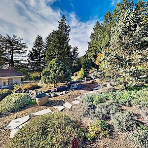 Vinyard Cottage Sebastopol Exterior photo