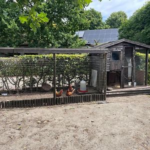 Villa Completely Renovated Back Part Of A Farm à Uden Exterior photo