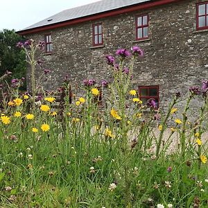 Villa The Old Mill, Kilcorkey, Bellanagare, Castlerea, County Roscommon - West Of Ireland -House 1 Exterior photo