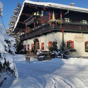 Ferienwohnung Am Baby & Kinderbauerhof Stefflhof Saalfelden Exterior photo