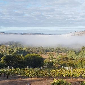 Bed and Breakfast Pecan Hill Bnb à Toodyay Exterior photo