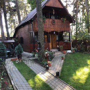 Villa Inchirieri cabana- “Chalet Rustique” à Covasna Exterior photo