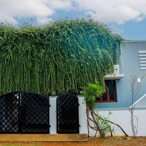 Villa The Peaceful Place à Karaikkudi Exterior photo