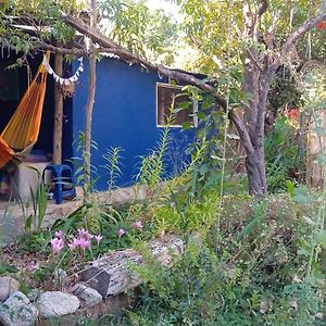 Appartement Cabana Azul à Pisco Elqui Exterior photo