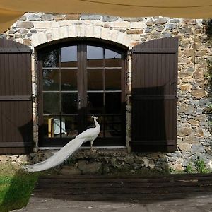 Authentic French House With Great View 4 Bedrooms And A Lot Of Land Troche Exterior photo