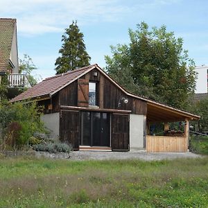 Villa Tiny House Chez Claudine - Relaxen, Workspace, Naehe Thermen, Netflix, Free Parking & Wifi à Brugg  Exterior photo