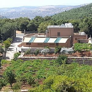 Appartement Wild Strawberry Farm Ajloun مزرعة القيقب عجلون à Ishtafayna Exterior photo