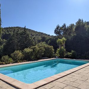 Hotel Provencal House Between Sea And Vineyards à Le Beausset Exterior photo