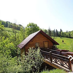 Villa Bukovii Hei & Chan à Oryavchyk Exterior photo