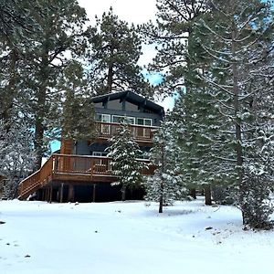The Bear Hut - The Perfect Home Away From Home! Lac Big Bear Exterior photo