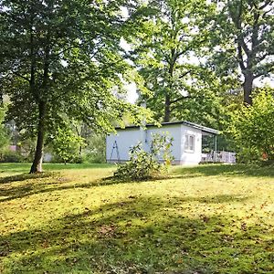 Villa Ferienhaus Boitzenburger Land à Rosenow  Exterior photo