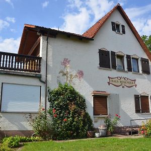 Appartement Haus Roseneck à Bad Kissingen Exterior photo