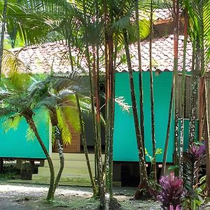 Villa Jungle Dreamz à Manzanillo  Exterior photo