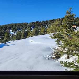 Appartement Greolieres Les Neiges Exterior photo