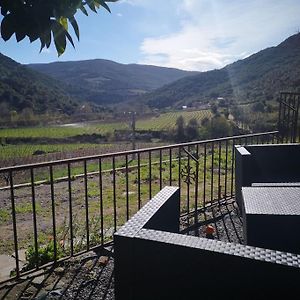 Villa Au Coeur Des Vignes, Entre Montagnes Et Riviere à Vieussan Exterior photo