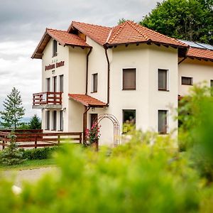 Hotel Pensiunea Rozelor Sâmbăta de Sus Exterior photo