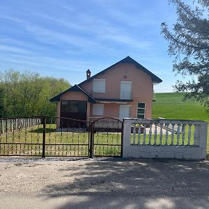 Villa Tesic Seoska Idila à Loznica Exterior photo