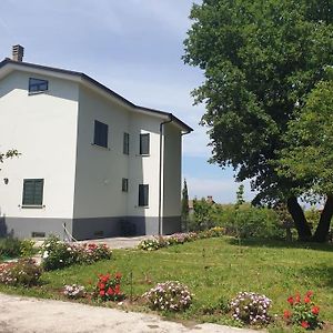 Villa Nonna Giusy à Sant'Ambrogio sul Garigliano Exterior photo