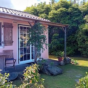 Faial Cottage B&B Cedros Exterior photo