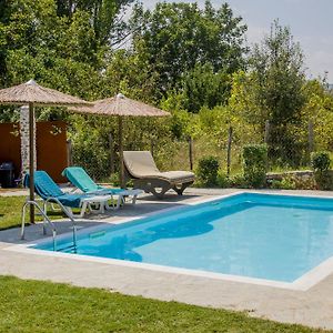 Villa Alexander Aqua Oasis - Poolside Garden Getaway à Evkarpia Exterior photo