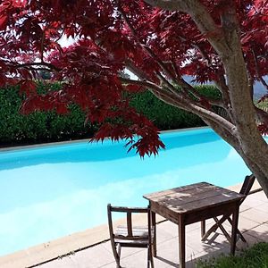 Bed and Breakfast Chambre D'Hote Dans Mas Proche Anduze Cevennes Avec Piscine à Mialet  Exterior photo