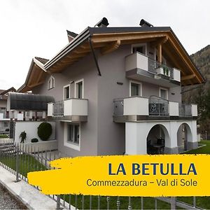 La Betulla Apartments Commezzadura Exterior photo