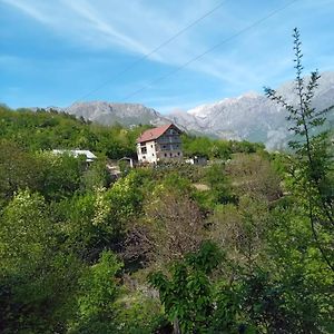 Hotel Bujtina Aliaj à Tropoje Exterior photo