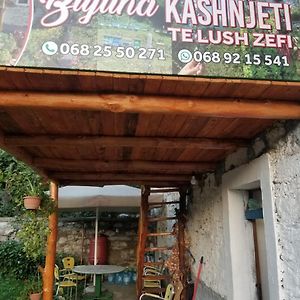 Maison d'hôtes Bujtina Kashnjeti Te Lush Zefi à Tropoje Exterior photo