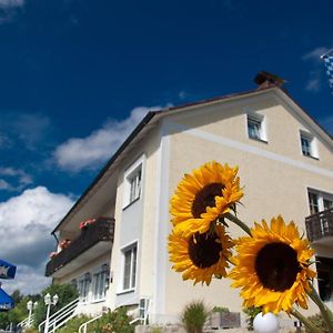 Hotel Landgasthof Am Sonnenhang à Vohenstrauss Exterior photo