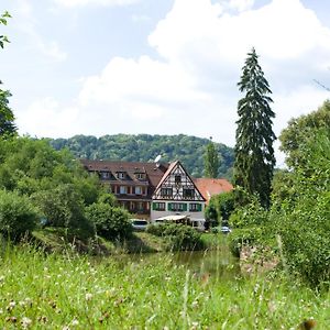 Hotel Auberge D'Imsthal à La Petite-Pierre Exterior photo