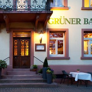 Hotel & Restaurant Gruener Baum Merzhausen Fribourg im Breisgau Exterior photo