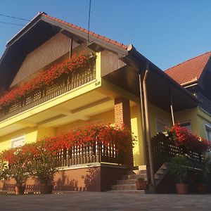 Hotel Zsuzsi Vendégház à Zalaegerszeg Exterior photo