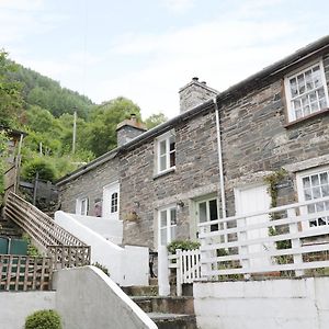 Villa Tanrallt à Machynlleth Exterior photo