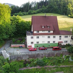 Hotel Jandlova Vila à Frenštát pod Radhoštěm Exterior photo