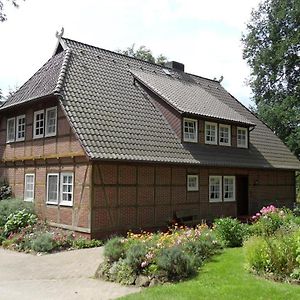 Ferienwohnungen Zum Huelsenbusch Bispingen Exterior photo