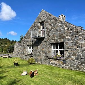 Appartement Bed & Breakfast - Shanakeever Farm à Clifden Exterior photo