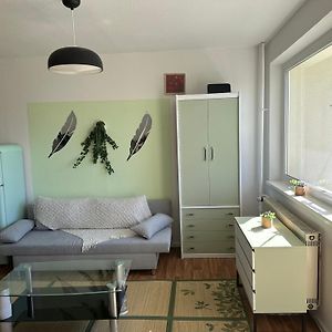 Ruhige Sonnige 1,5 Zimmer Wohnung Erfurt Exterior photo